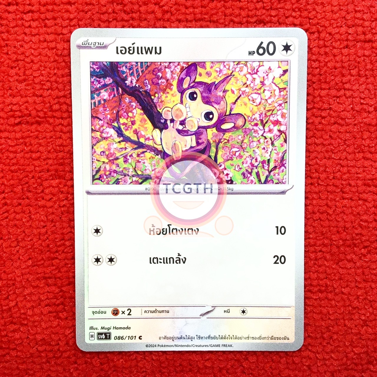 เอย์แพม