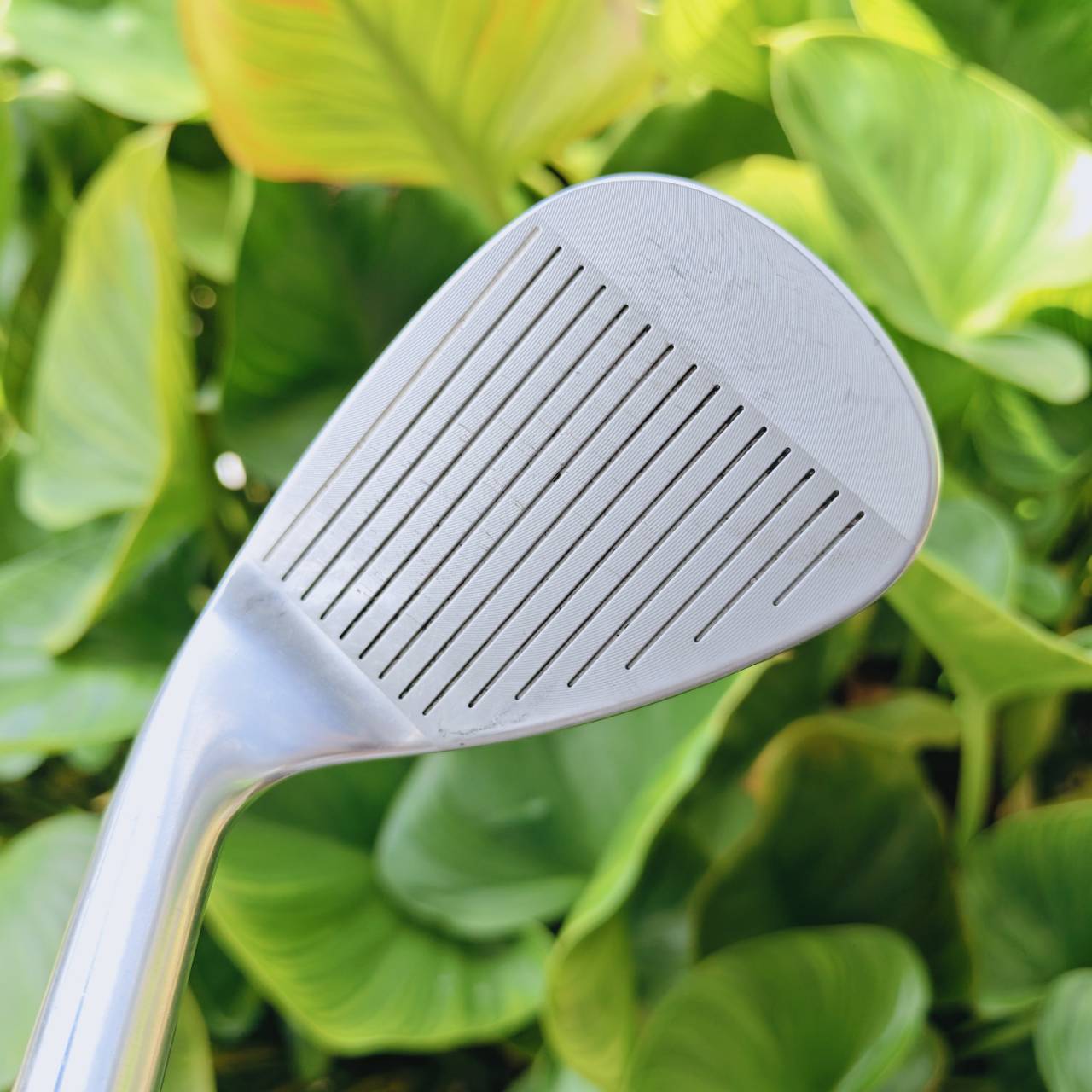 WEDGE Ping Tour-W 50°/12 ก้าน PING AWT FLEX R ขึ้นชื่อเรื่องชิพง่าย นุ่ม แม่นยำมาก