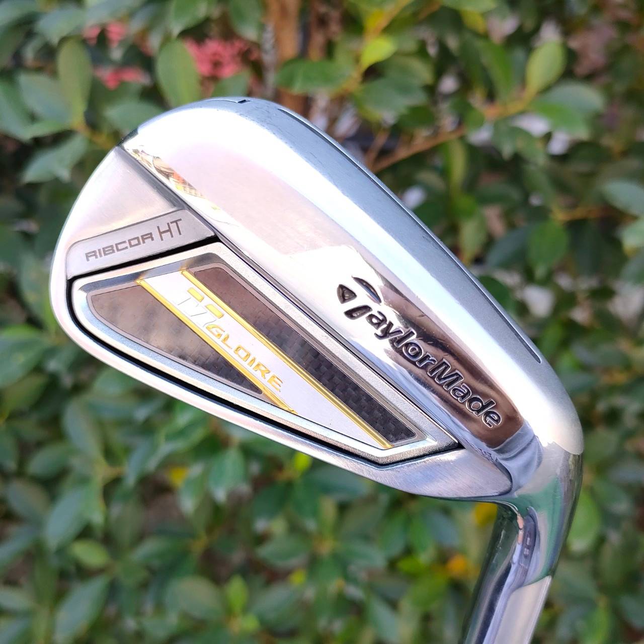 ชุดเหล็ก TAYLORMADE M GLOIRE RIBCOR HT มีเหล็ก 6-9 เเละ PW ก้าน FUJIKURA SPEEDER EVOLUTION FLEX R ทั้งชุด