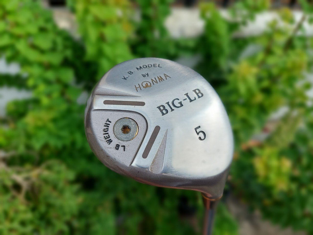 FW5 HONMA BIG LB K.B.MODEL