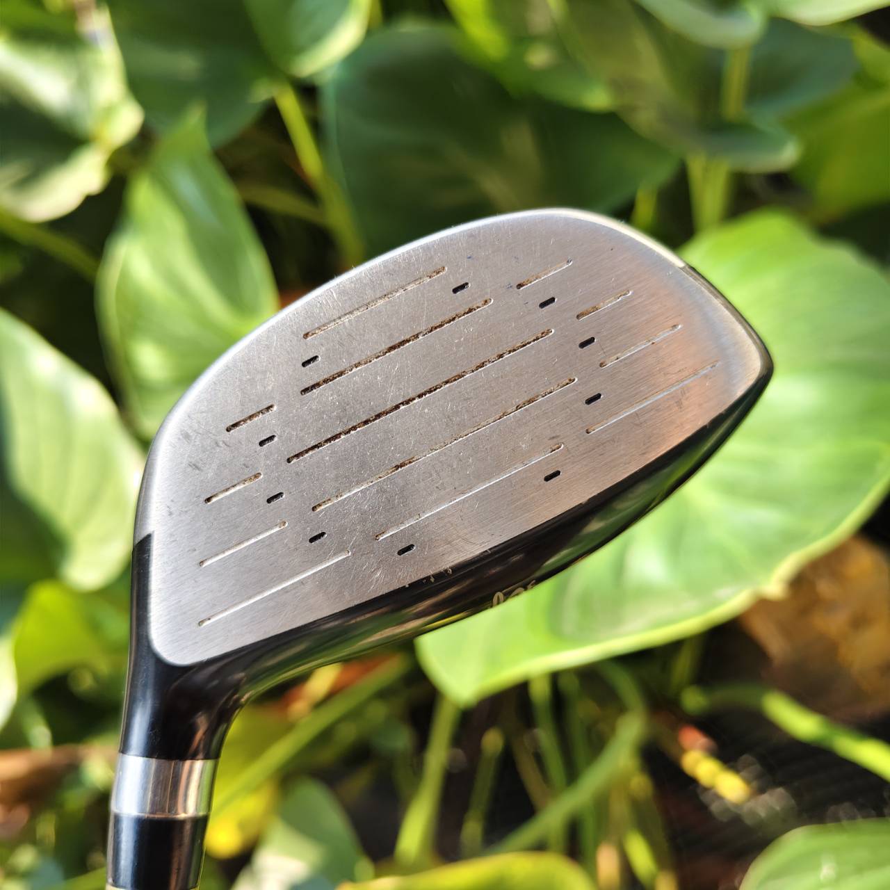 5W King Cobra F/Speed Hyper Steel เสียงใส และตีไกลมากค่ะ มาพร้อมก้าน Aldila NV-F Flex R