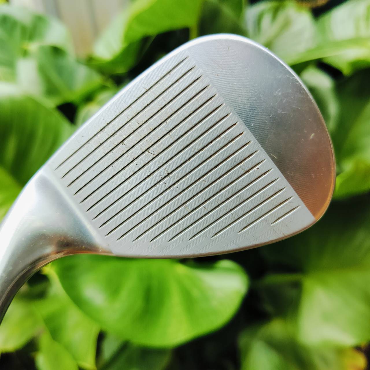 WEDGE Titleist SM6 สภาพสวยมาก องศา 56 BONCE 8 M Grind M GRIND การเจียรฐานที่ บ็อบ โวกี้ ชื่นชอบที่สุด ไม้กอล์ฟพรีเมี่ยมมือสอง ของแท้ By NakaraLuxurious