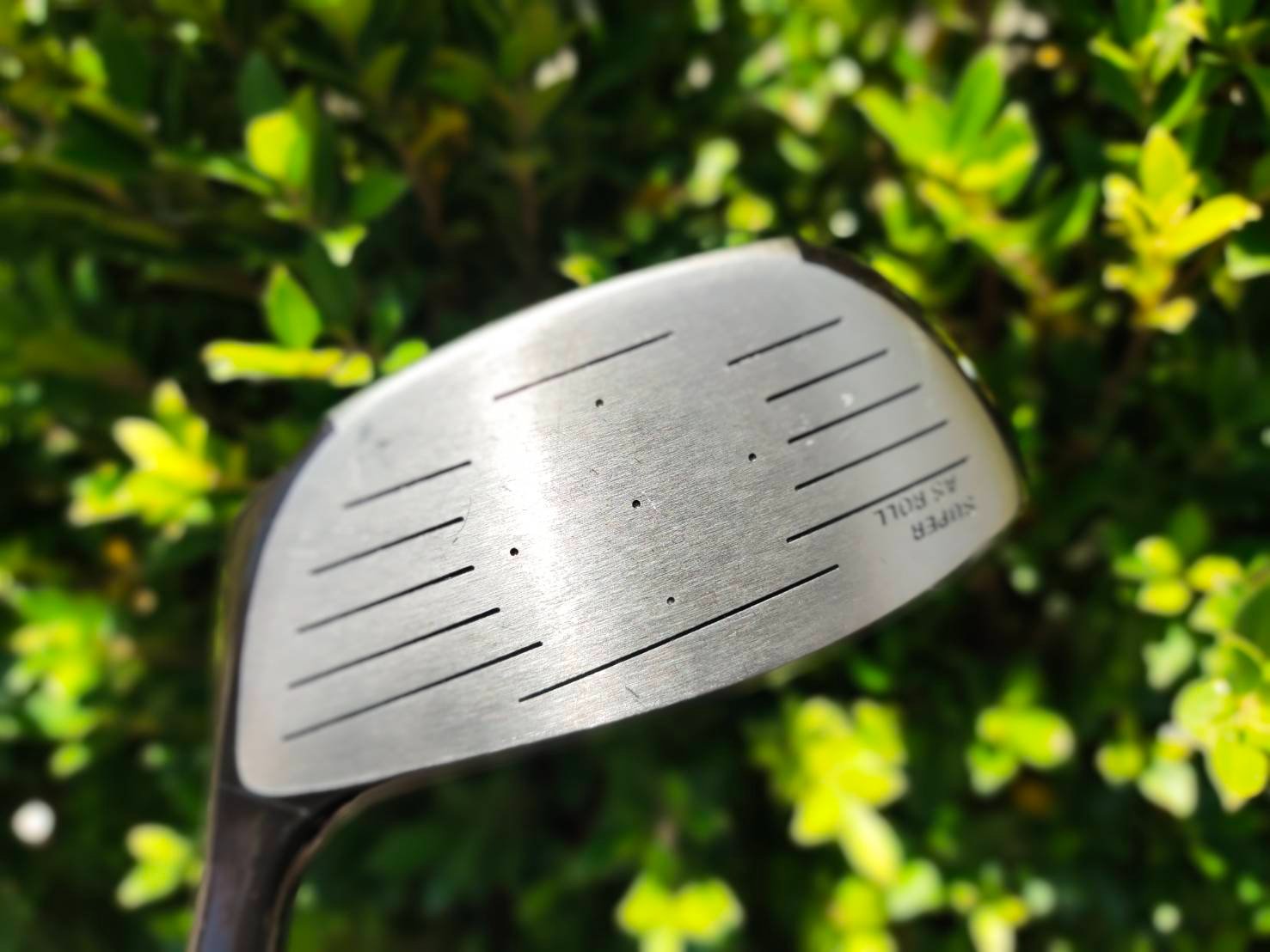 Driver SWORD EX350