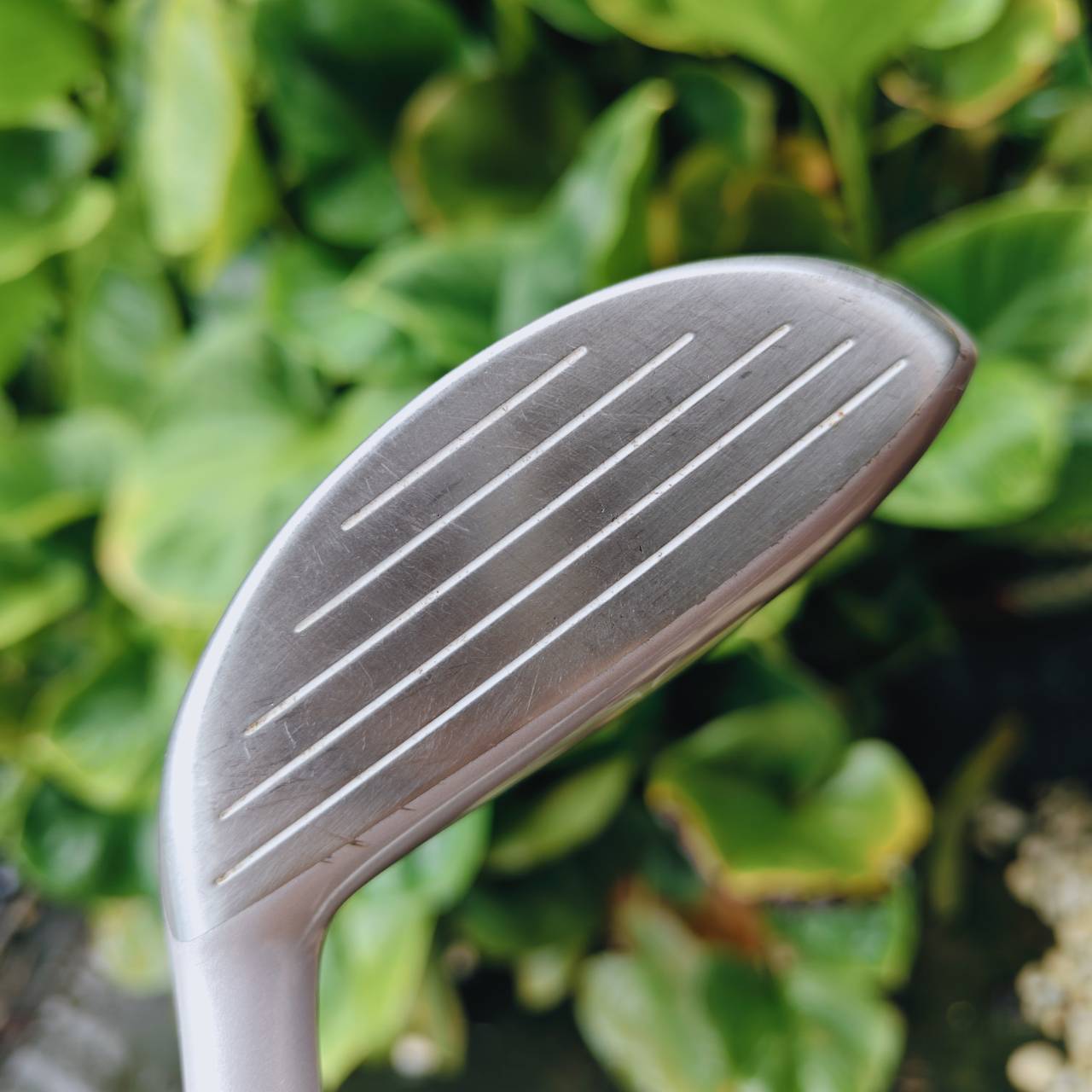 7W MIZUNO ZEPHYR – Each Gravity Design / Flex Lady 🌸