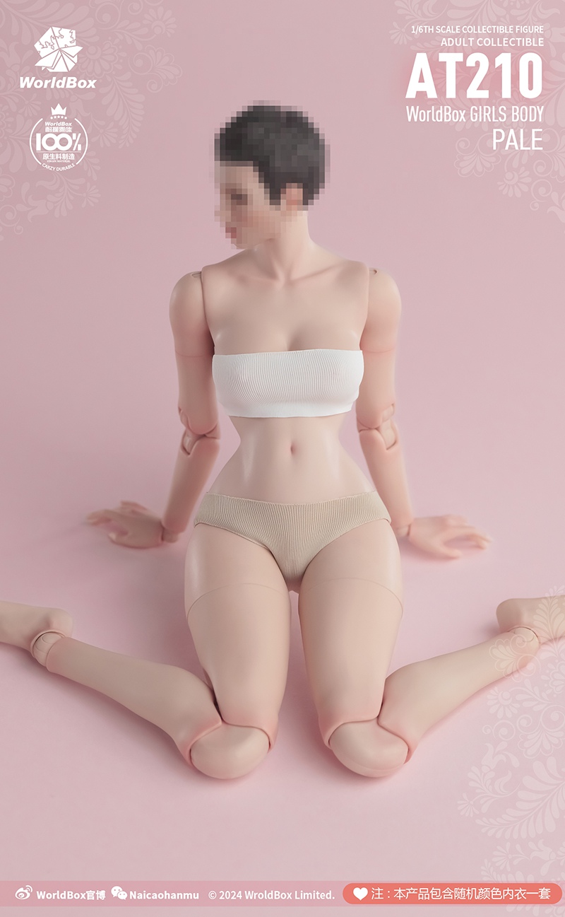 [พร้อมส่ง]Worldbox 1/6 : --- AT210 female body wasp waist version ---(เฉพาะบอดี้ ไม่รวมหัวปั้น) - Pale (ขาว)
