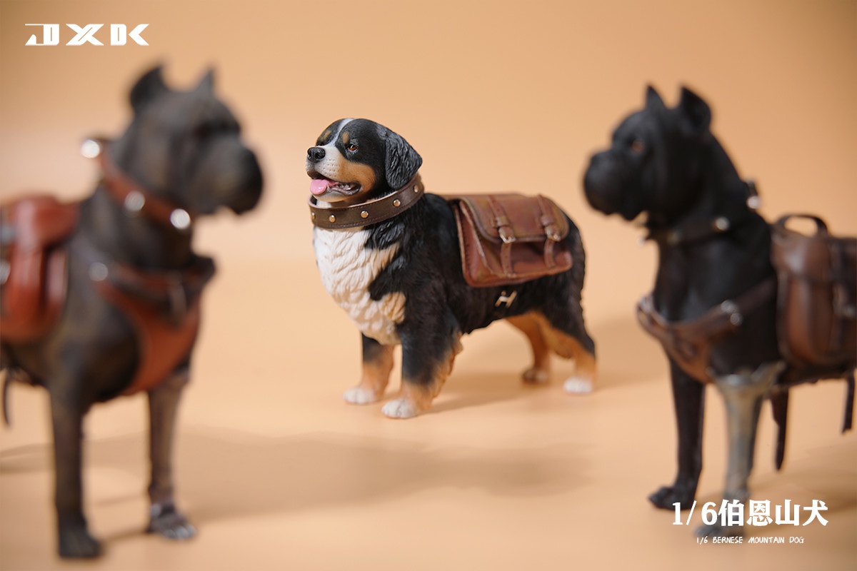 [สั่งจอง]JXK JXK144 1/6 : Bernese Mountain Dog