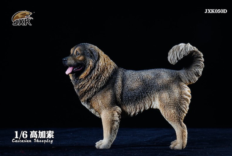 [สั่งจอง]JXK JXK050 1/6 : Caucasian Sheepdog