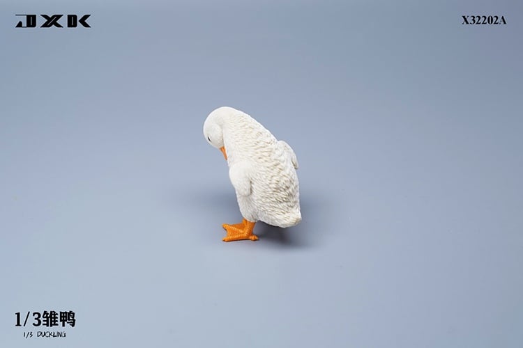 [สั่งจอง]JXK : Scottish Fold/Chckling/Duckling