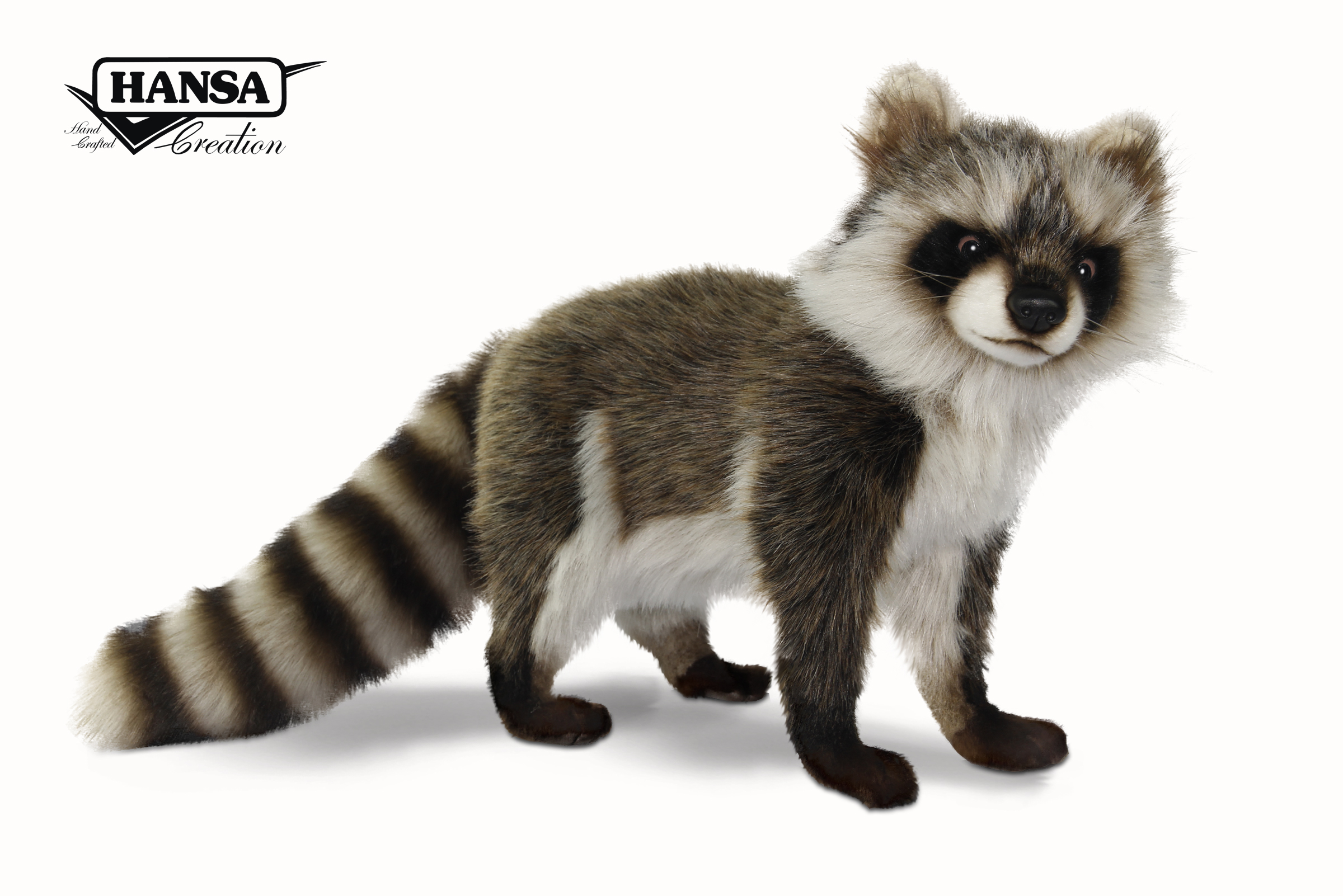 7494 Raccoon Standing 35 cm.H