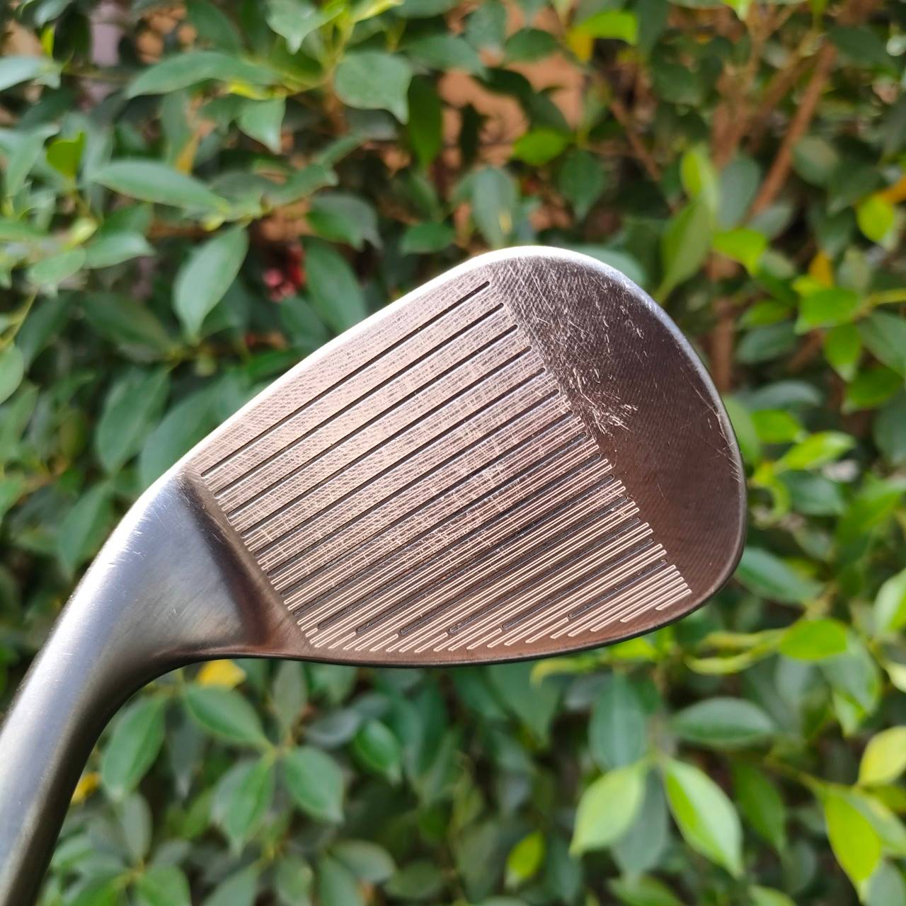 WEDGE CLEVELAND 588 -RTX องศา 54 BOUNCE 12 ก้าน DYNAMIC GOLD FLEX WEDGE