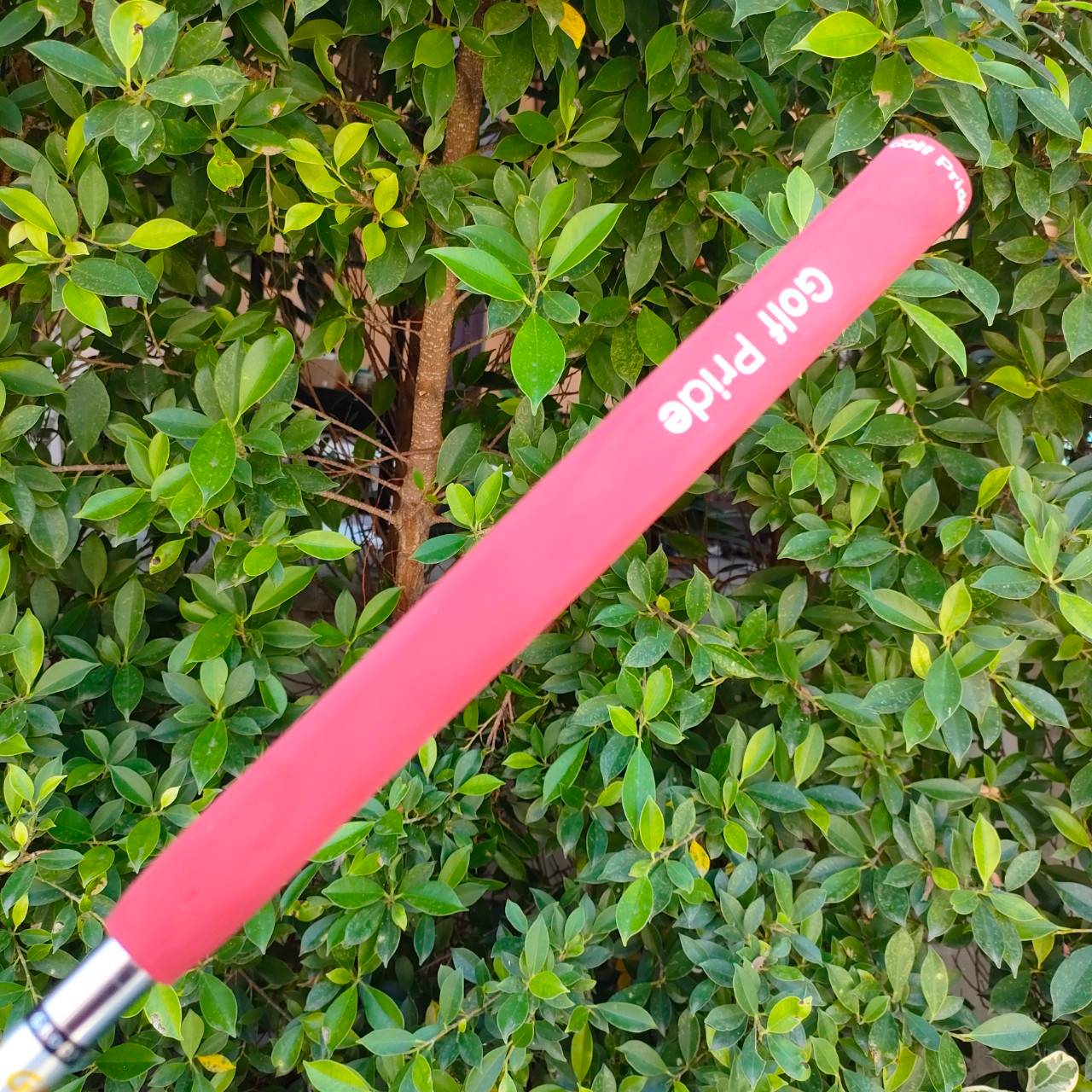 PUTTER yes C-GROOVE ตัว Carolyne รุ่นยอดนิยม ความยาว 33 นิ้ว สุดยอดของ หน้าสัมผัสที่เกาะไลน์มาก ไม้กอล์ฟมือสอง ของแท้ BY NakaraLuxurious