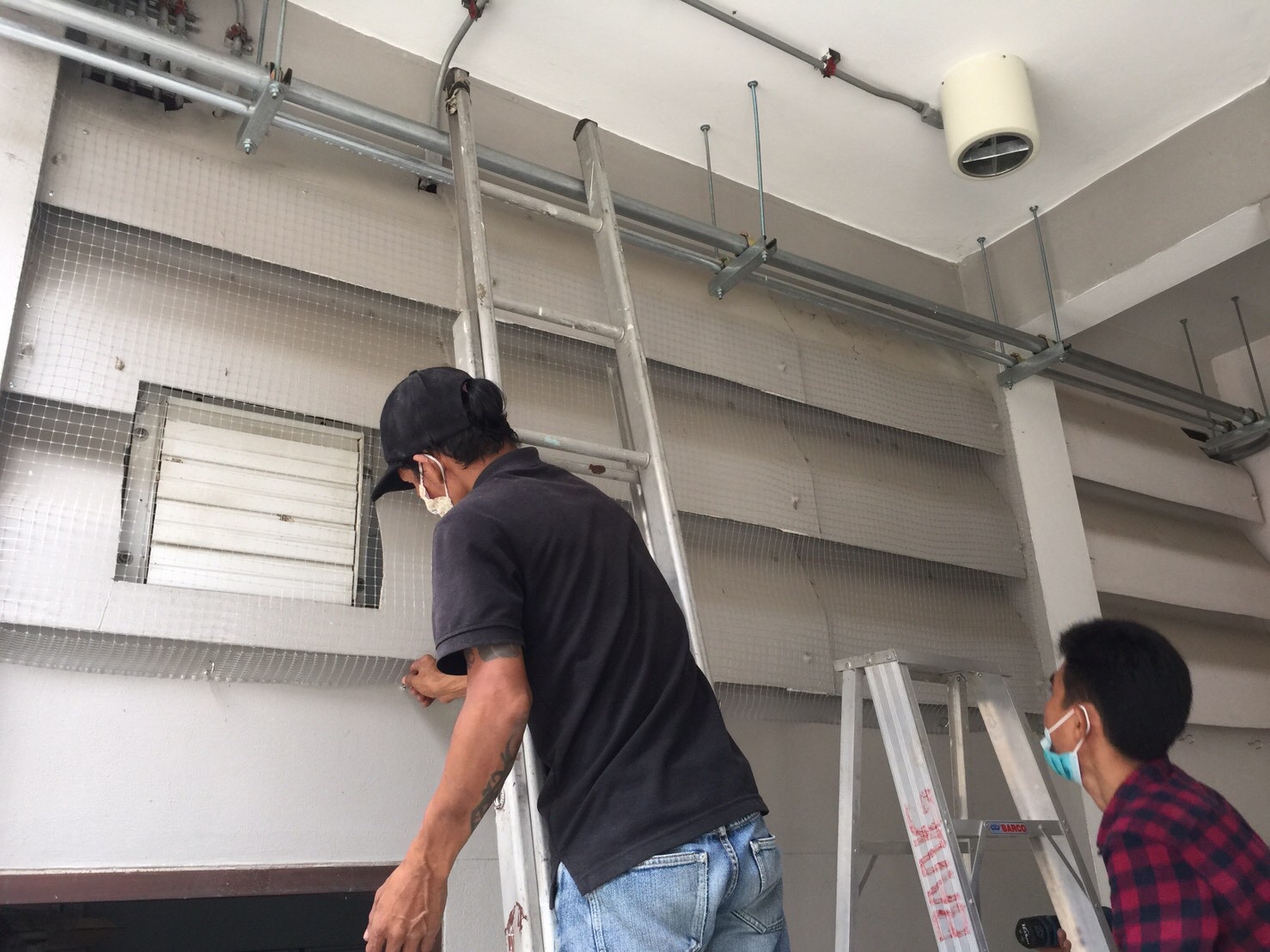 งานติดตาข่ายกันนก ตึกกายวิทยาทาน มหาวิทยาลัยมหิดล