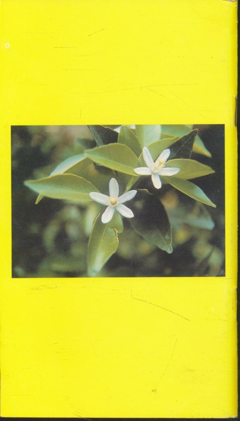 คู่มือเกษตรกร โรค แมลง ไรศัตรูส้ม และ การจัดการ