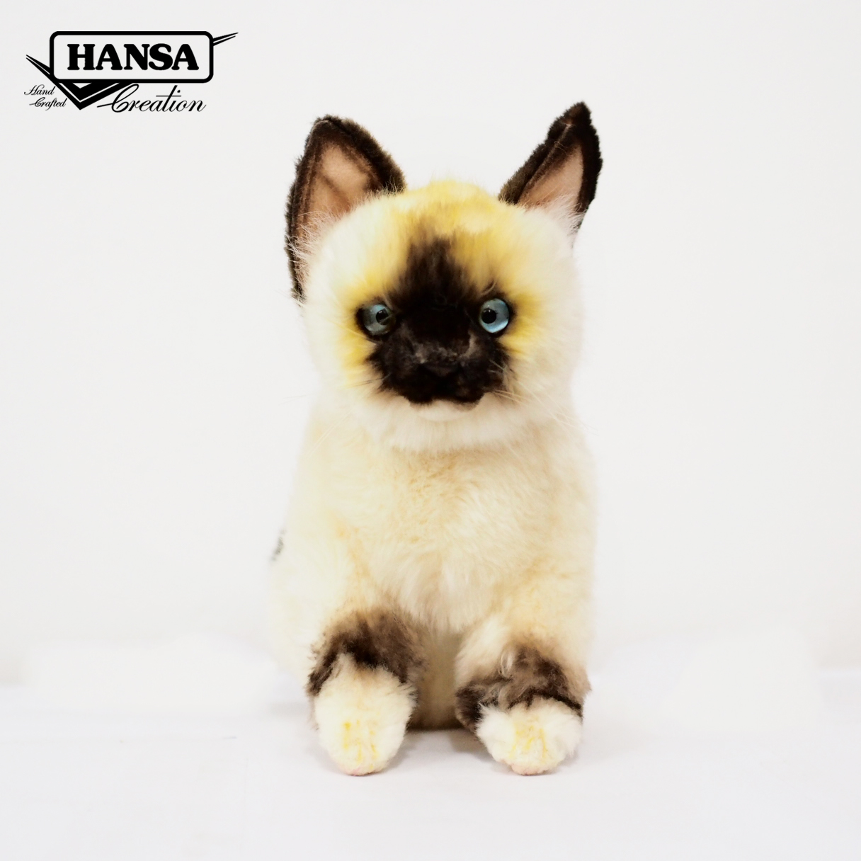8230 Rag doll Kitten 26cm.L