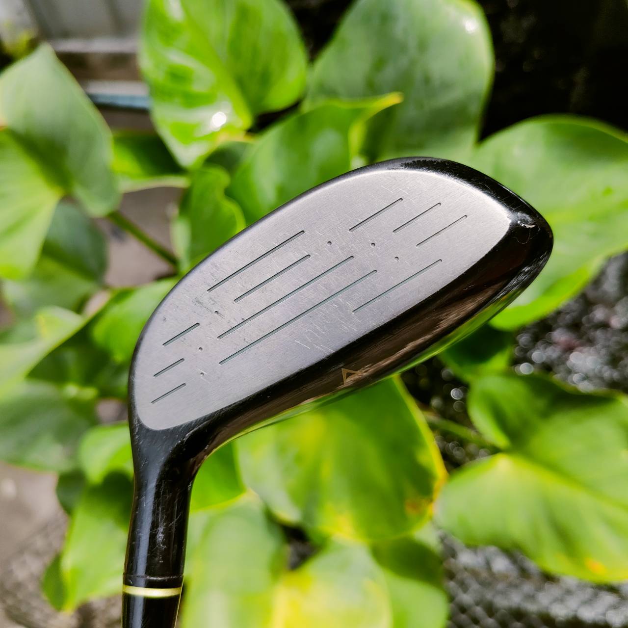 FW9 S-YARD TYPE B-1 องศา 24 เป็นองศาที่ตีสบาย ตีแทนเหล็กยาวได้เลย FLEX R1 สปีดไม่แรงตีได้ดี ไม้กอล์ฟพรีเมี่ยมมือสอง ของแท้ By NakaraLuxurious