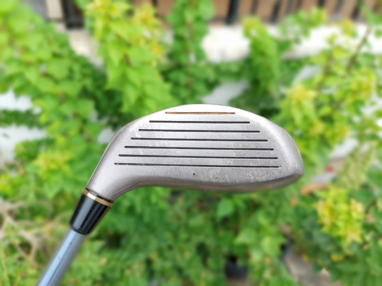 FW5 HONMA BIG LB K.B.MODEL