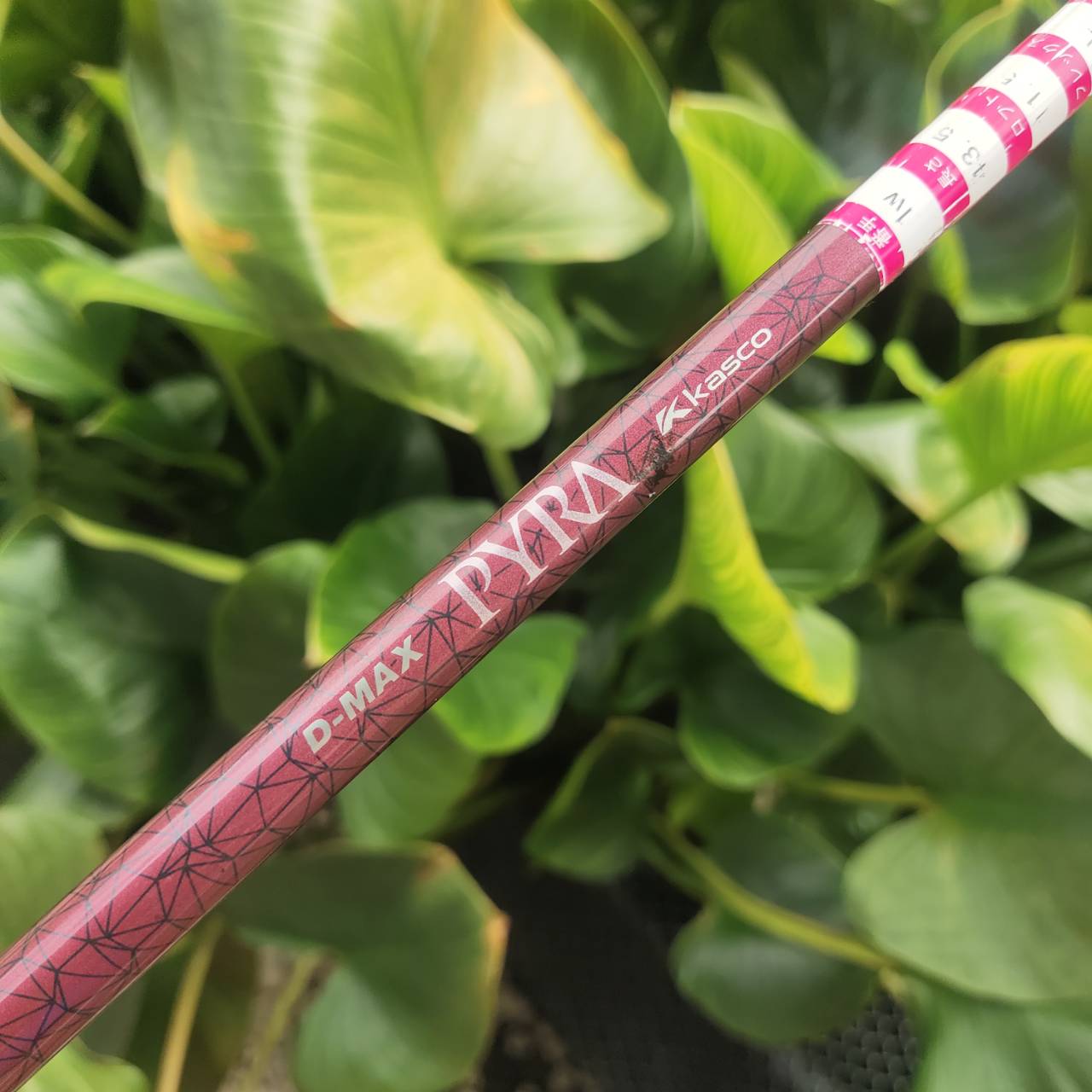 KASCO D-MAX PYRA LADY 11.5° Driver สำหรับคุณผู้หญิงที่อยากตีไกลขึ้นแบบ effortless!