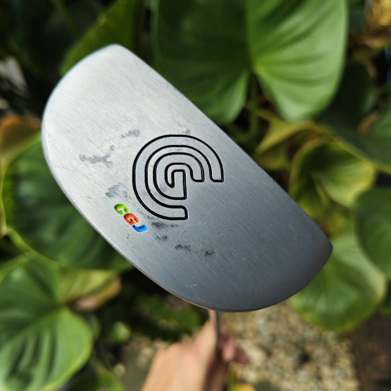 PUTTER CLEVELAND CGJ (ของเด็ก) – ทรง Mallet / ก้าน CENTER / ความยาว 31 นิ้ว