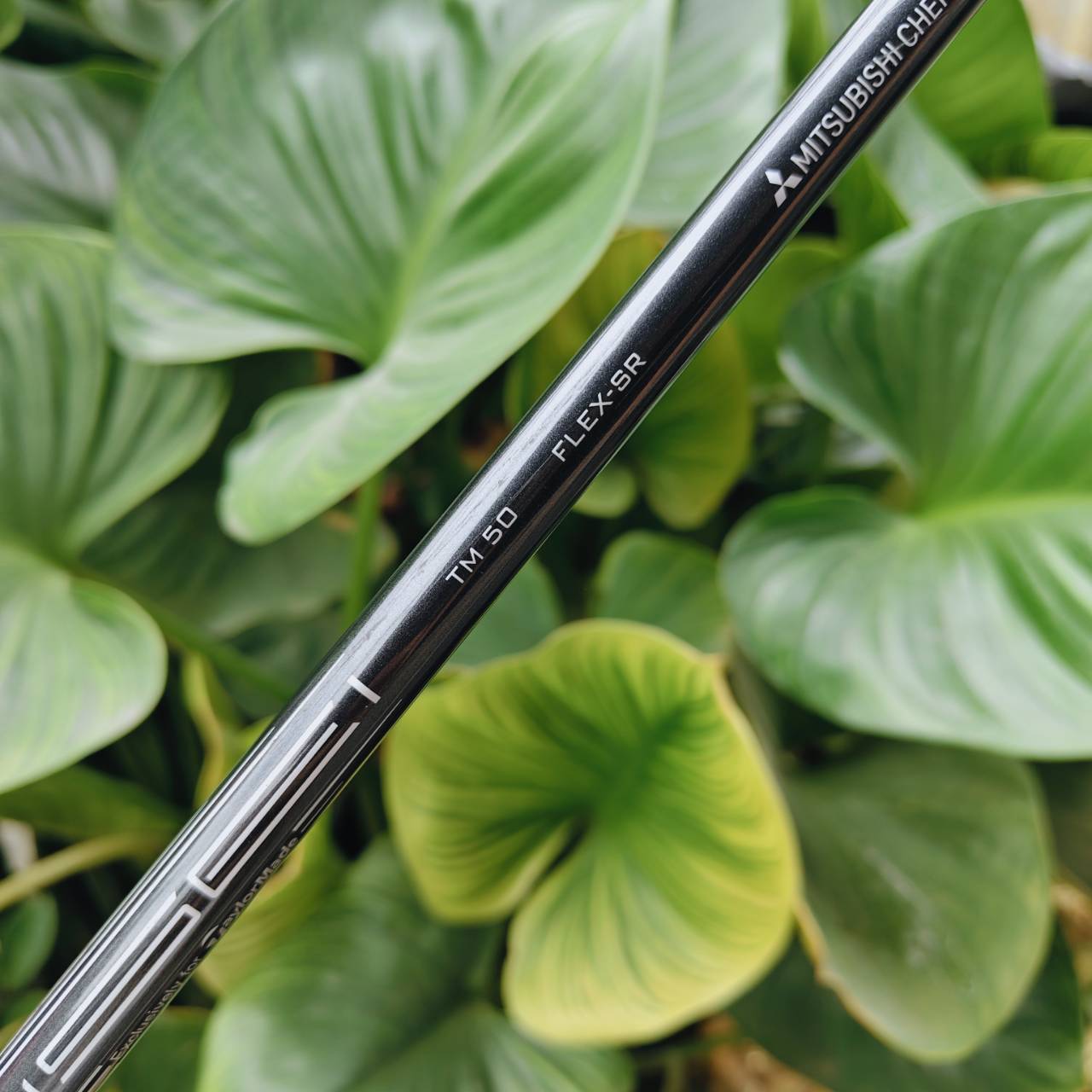 Taylormade STEALTH PLUS+ Driver 9° ตัวท็อประดับทัวร์ “Carbonwood Era” แห่งความเร็วและการควบคุม!