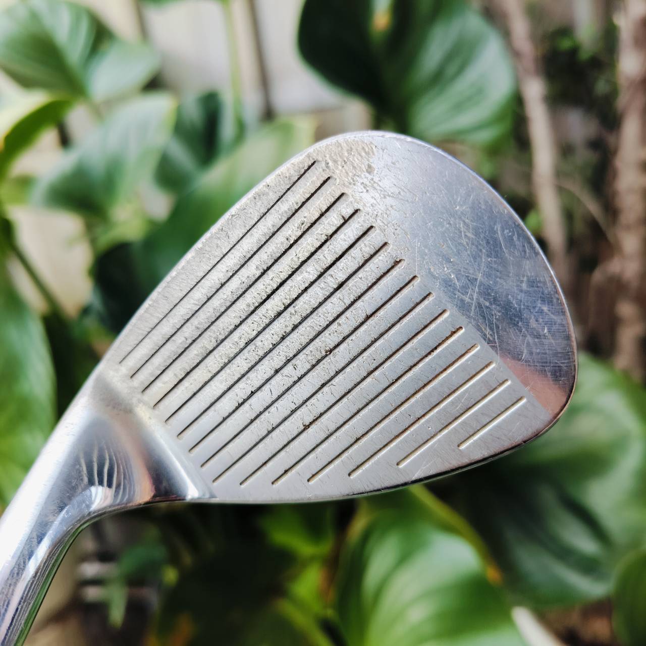 WEDGE BRIDGESTONE PRECEPT องศา 56 FORGED TOUR PREMIUM จากประเทศญี่ปุ่น วัสดุดีมากๆๆ นุ่มจัด ไม้กอล์ฟพรีเมี่ยมมือสอง ของแท้ By NakaraLuxurious