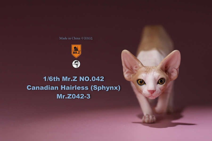 [สั่งจอง]แมวสฟิงก์ แมวน้อยขนกลับด้าน 1/6 Mr. Z Animal Model No.42: 1/6th Canadian Hairless (Sphynx)