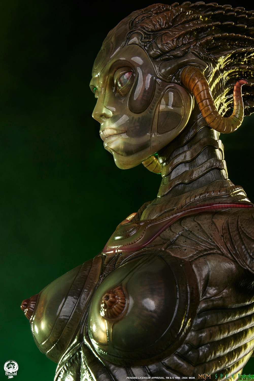 [สั่งจอง] PCS : Species (Species)