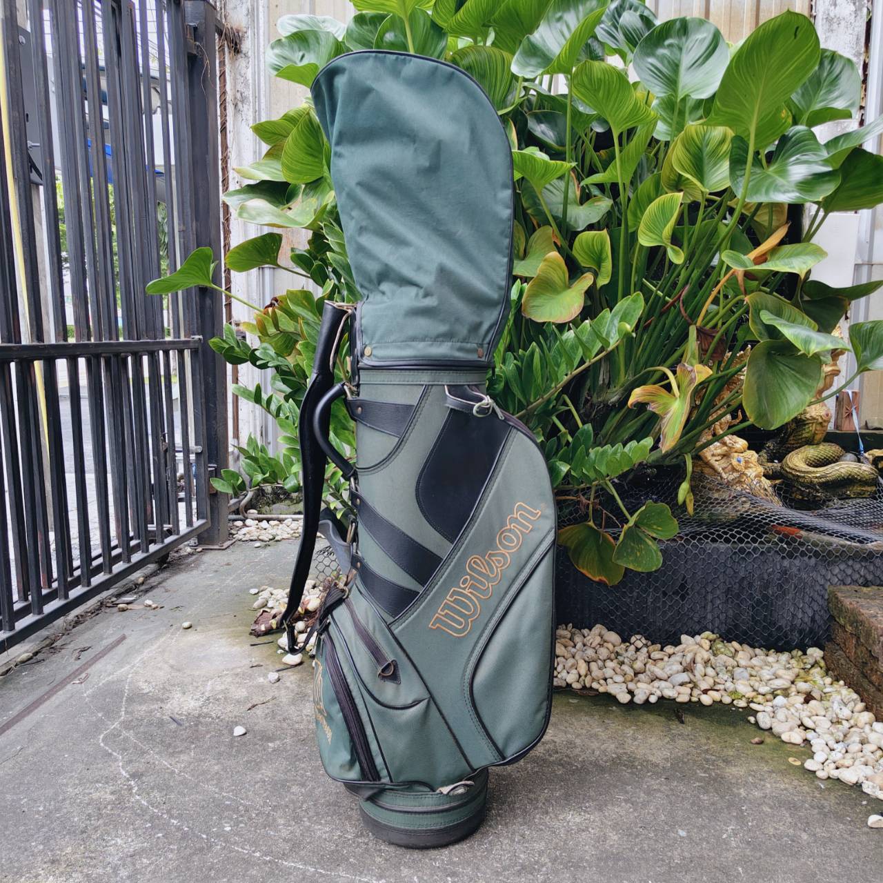 ชุดไม้กอล์ฟครบชุด WILSON DYNA-PULSE – พร้อมลุยทุกสนาม! ไม้ครบเซ็ต ตีง่าย