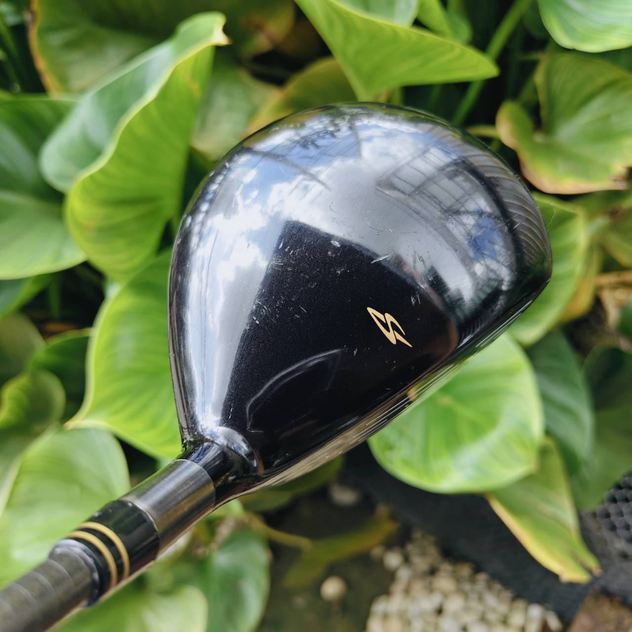 มือซ้ายตัวเด็ด!! FW3 MARUMAN SHUTTLE หน้าเด้ง MARAGING องศา 15