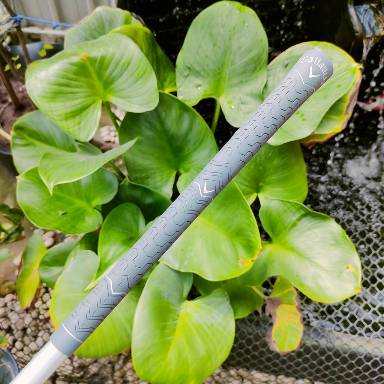 Callaway Reva Full Set Ladies ไม้กอล์ฟครบชุดที่ดีที่สุดของผู้หญิง สภาพสวยระดับนางฟ้า ถุงกอล์ฟสวยหรู ไม้ทุกชิ้นผลิตได้อย่างพรีเมี่ยมมากๆ ไม้กอล์ฟพรีเมี่ยมมือสอง ของแท้ By NakaraLuxurious