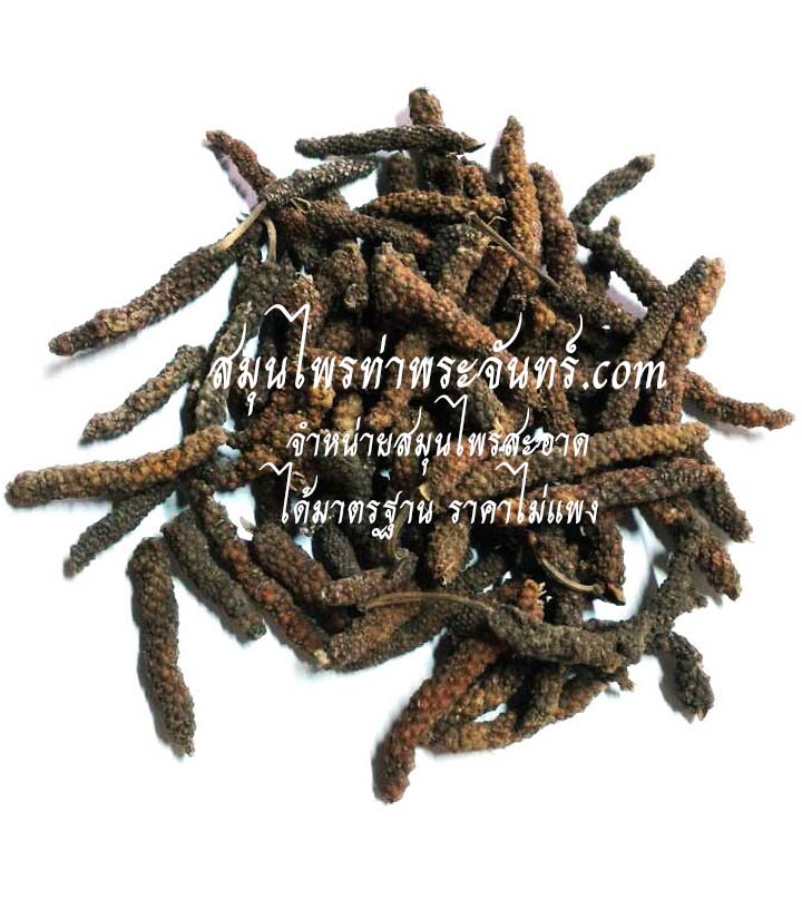 Dried Long pepper/ Indian long pepper/ Javanese long pepper