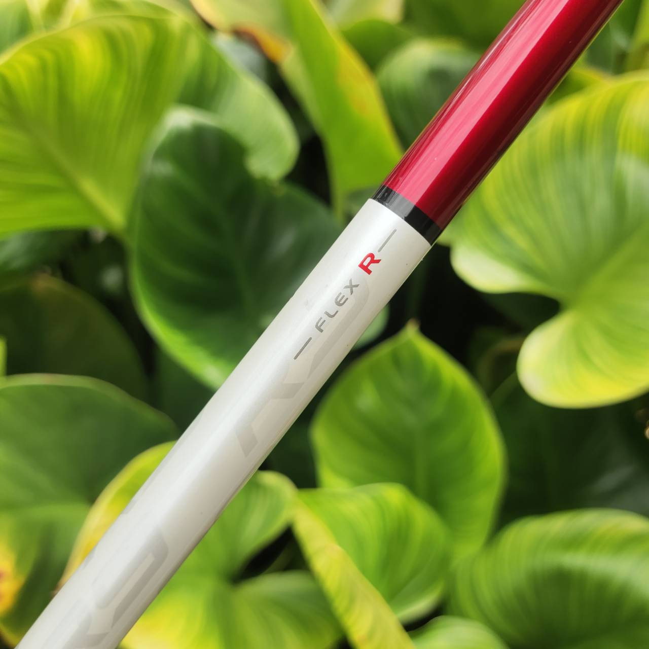 Driver Taylormade R9 MAX หายากมาก!!! "TYPE E" เวอร์ชันพิเศษสำหรับตลาดญี่ปุ่น ตีไกลแบบเต็ม MAX