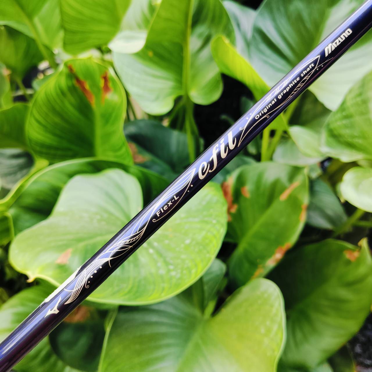 *** ไม้กอล์ฟสำหรับผู้หญิง *** Driver MIZUNO EFIL 7 ก้าน FLEX LADY ออกแบบมาเพื่อ คุณผู้หญิงเอเชียโดยเฉพาะ เบามาก หัวใหญ่ หน้าสวีทสปอตกว้าง ตีง่าย ไม้กอล์ฟพรีเมี่ยมมือสอง ของแท้ By NakaraLuxurious