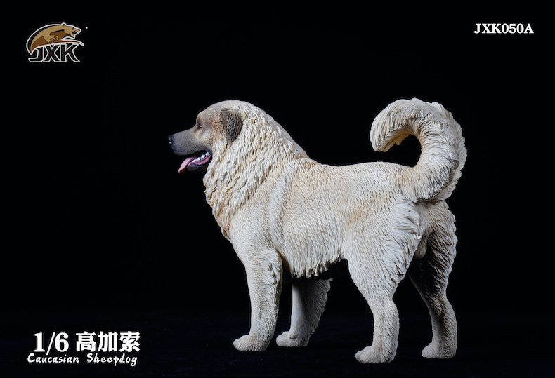 [สั่งจอง]JXK JXK050 1/6 : Caucasian Sheepdog