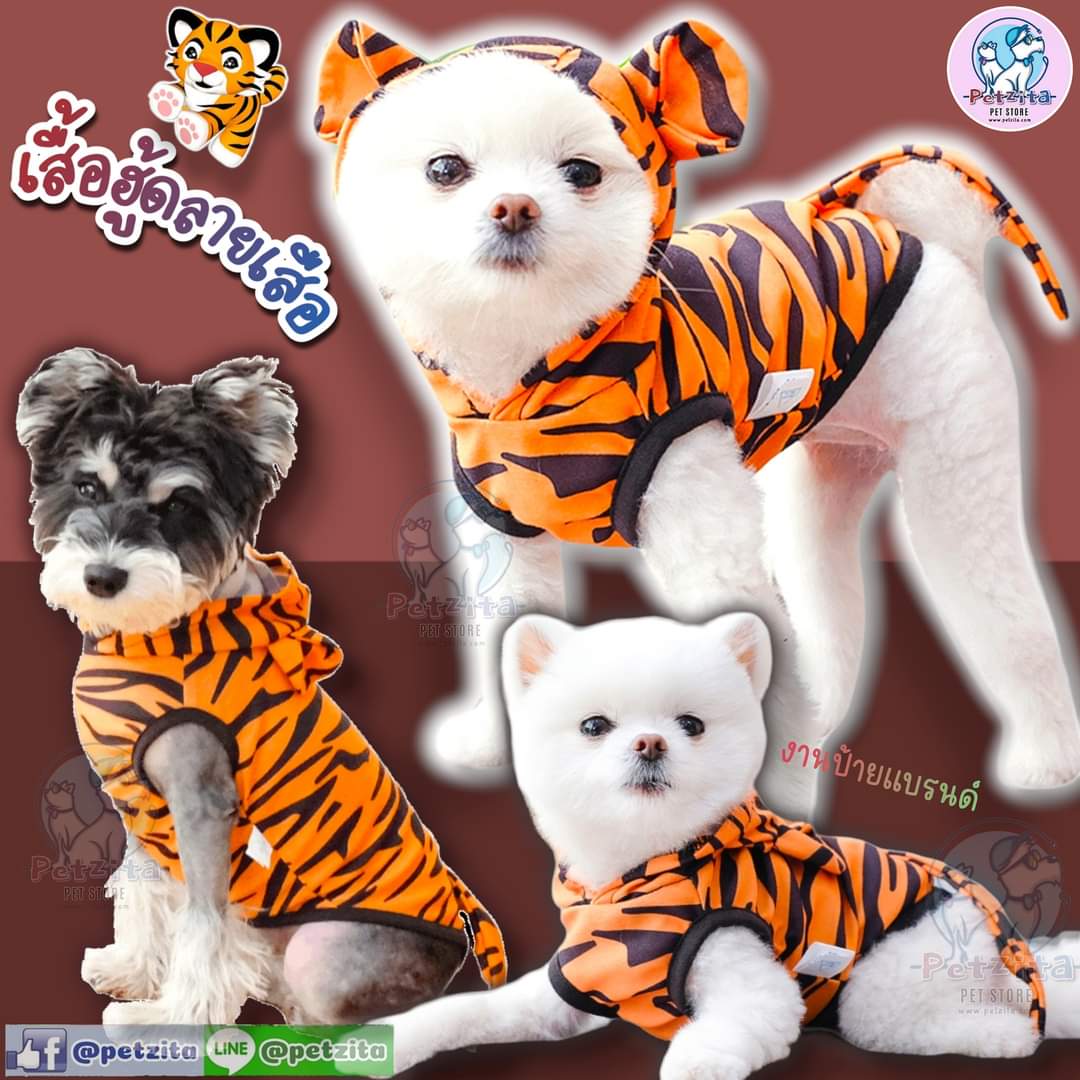 🇹🇭พร้อมส่ง🇹🇭 เสื้อฮู้ดคอสเพย์ 🐯 ลายเสือ 🐅 งานป้ายแบรนด์ ผ้าใส่สบาย for pet เสื้อสุนัข เสื้อหมา เสื้อแมว สำเนา