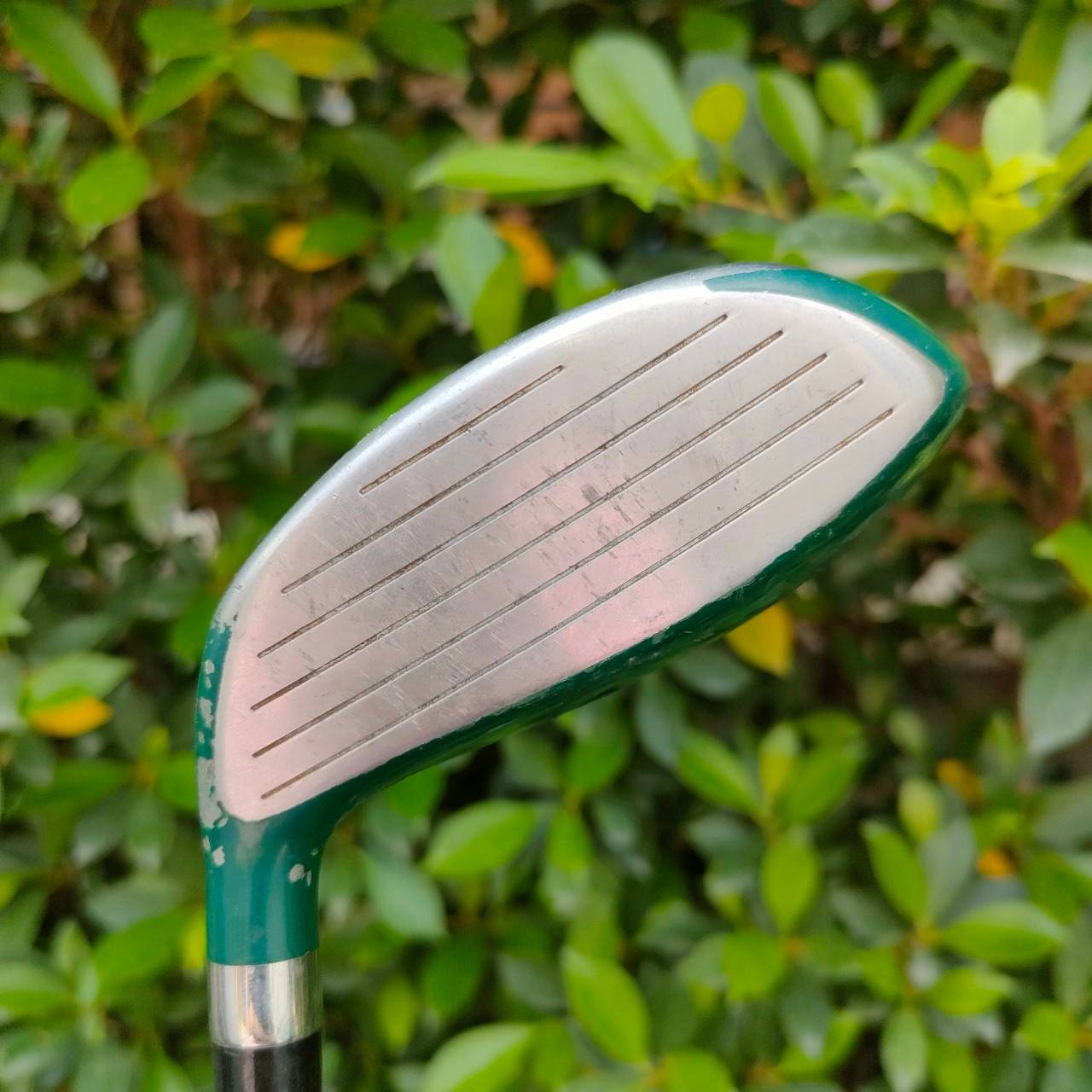 FW5 ELREY SOTOGRANDE องศา 19 ก้าน ELREY FLEX R *** มีตำหนิ ! กระดองมีรอยลอก ***