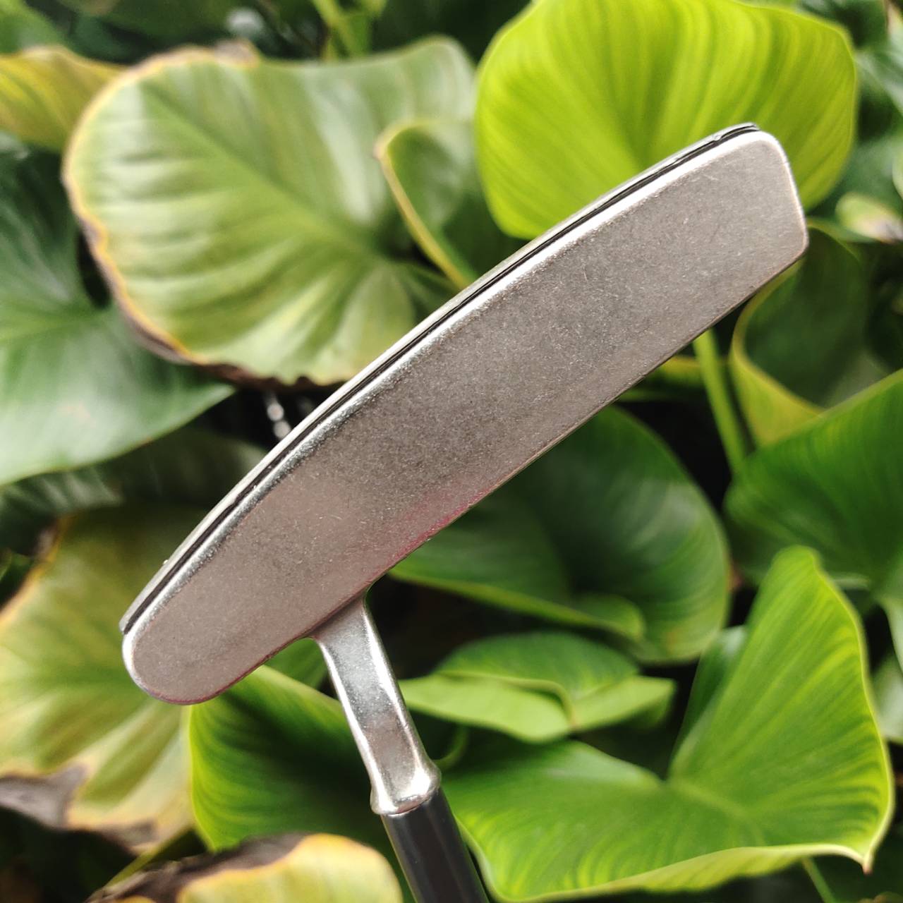 **เด็ด** PING ZING 2 + KBS CT TOUR PUTTER 120 มี COVER PING สวยจัด!!
