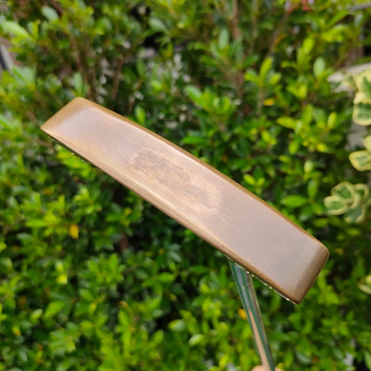 PUTTER PING PAL 2 รุ่น BeCu วัสดุสุดพรีเมี่ยม Beryllium copper แท้ๆ