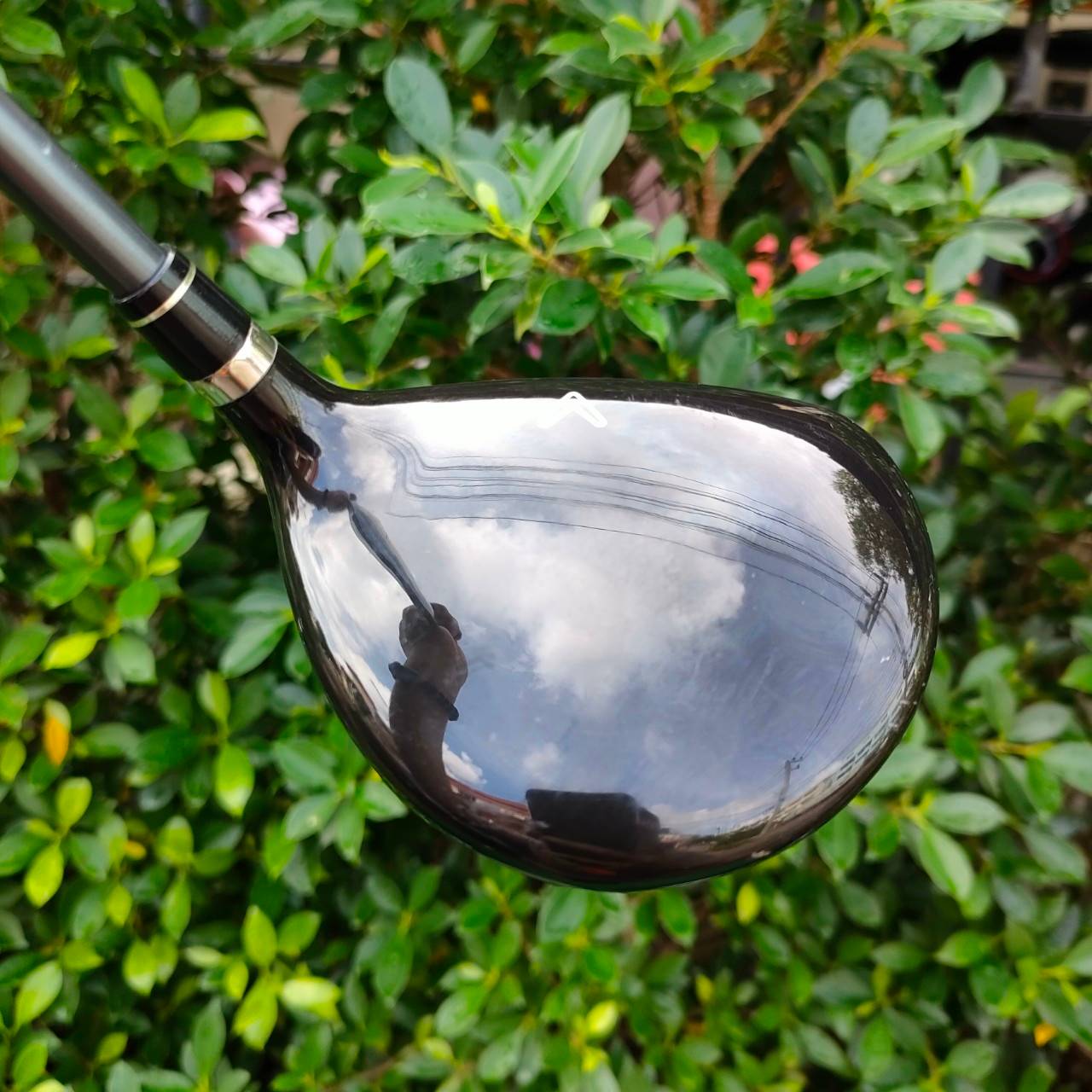 **ไม้กอล์ฟสำหรับผู้หญิง** FW5 CALLAWAY LEGACY LADY องศา 19 ก้าน SPEED AMORPHOUS FLEX L เป็นตัวพรีเมี่ยมของ Callaway