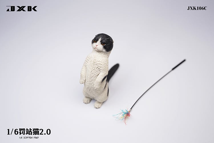 [สั่งจอง]JXK : Scottish Fold/Chckling/Duckling