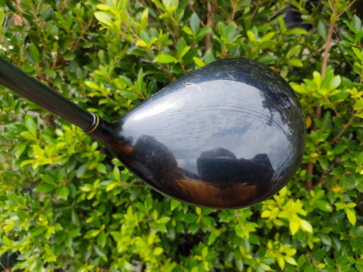 Driver MIZUNO PRESAGE
