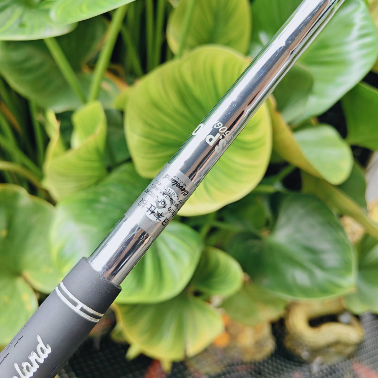 WEDGE CG12 ZIP GROOVE 52° BOUNCE 10 – ควบคุมช็อตสั้นทุกสภาพสนาม!