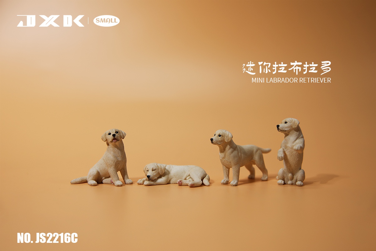 [สั่งจอง]JXK small : Mini