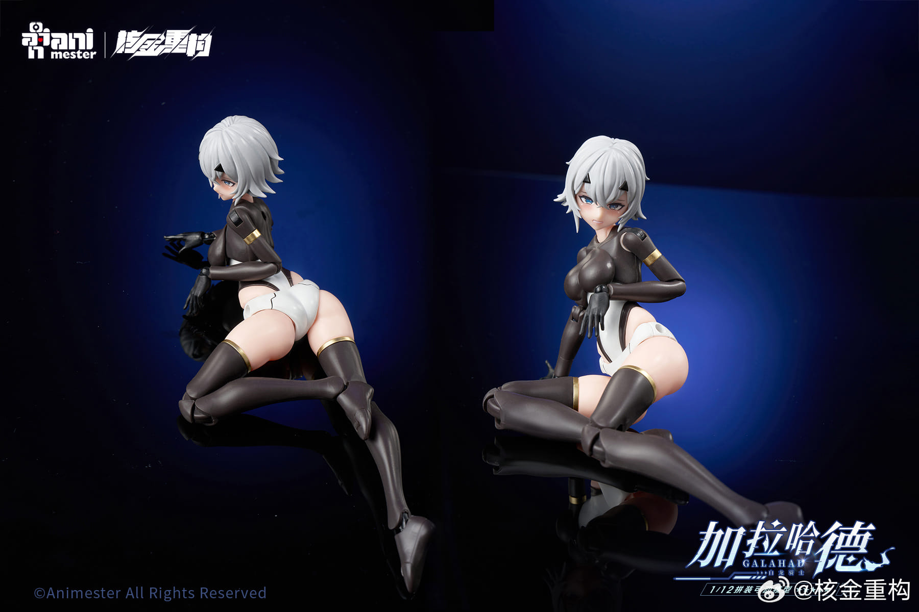 [สั่งจอง]Animester x Nuclear Gold - Model Kit 1/12 : White Dragon Knight Galahad (17Cm)