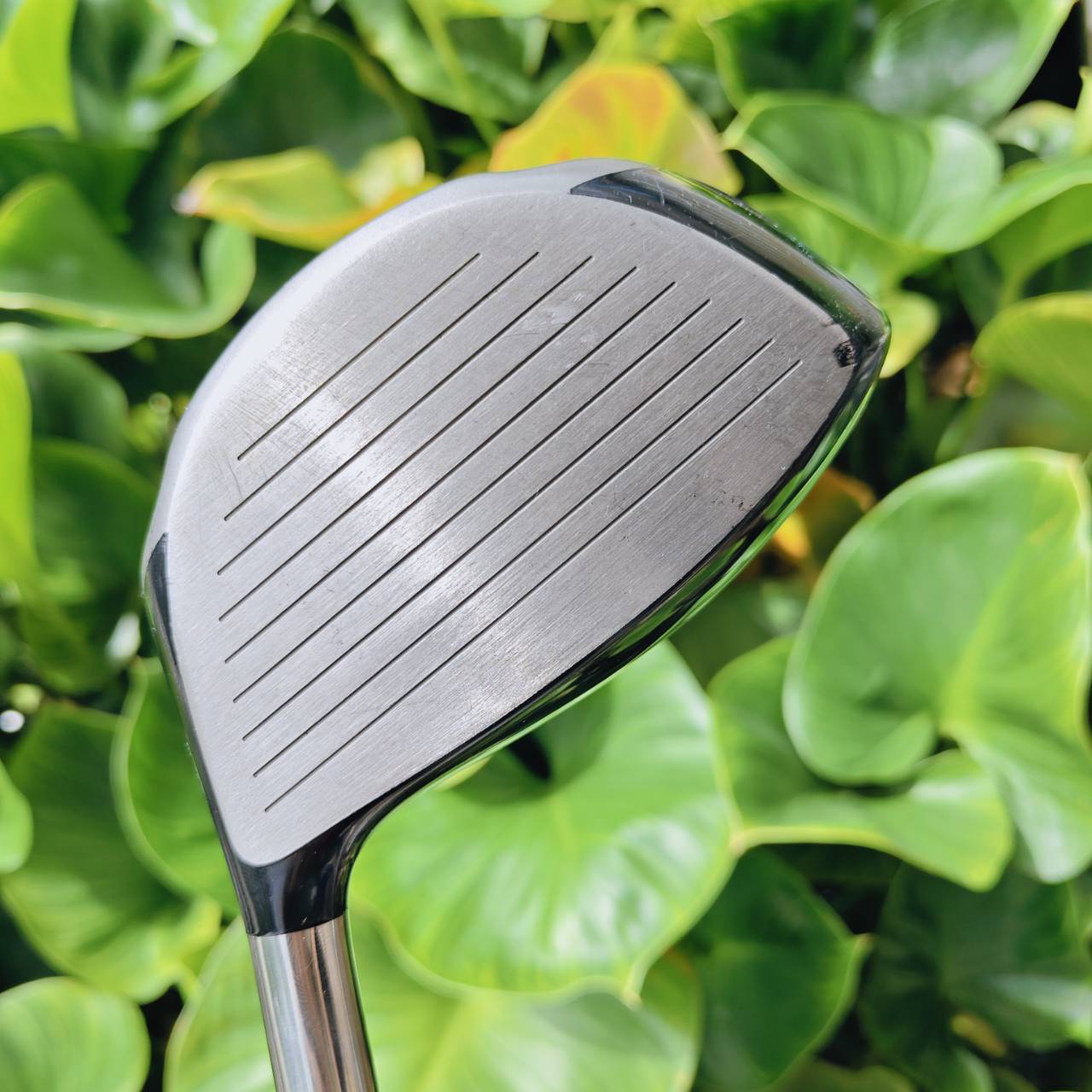 Driver TOURSTAGE X-DRIVE หน้าไม้ Titanium บางพิเศษ → รีดสปีดลูกกอล์ฟเต็มพลัง