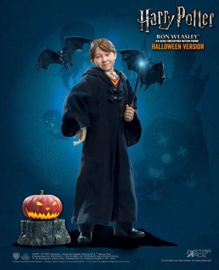 [สั่งจอง]STAR ACE Toys：1/6 HW0001/HW0002/HW0003/HW0004 1/6 Harry Potter (Child)