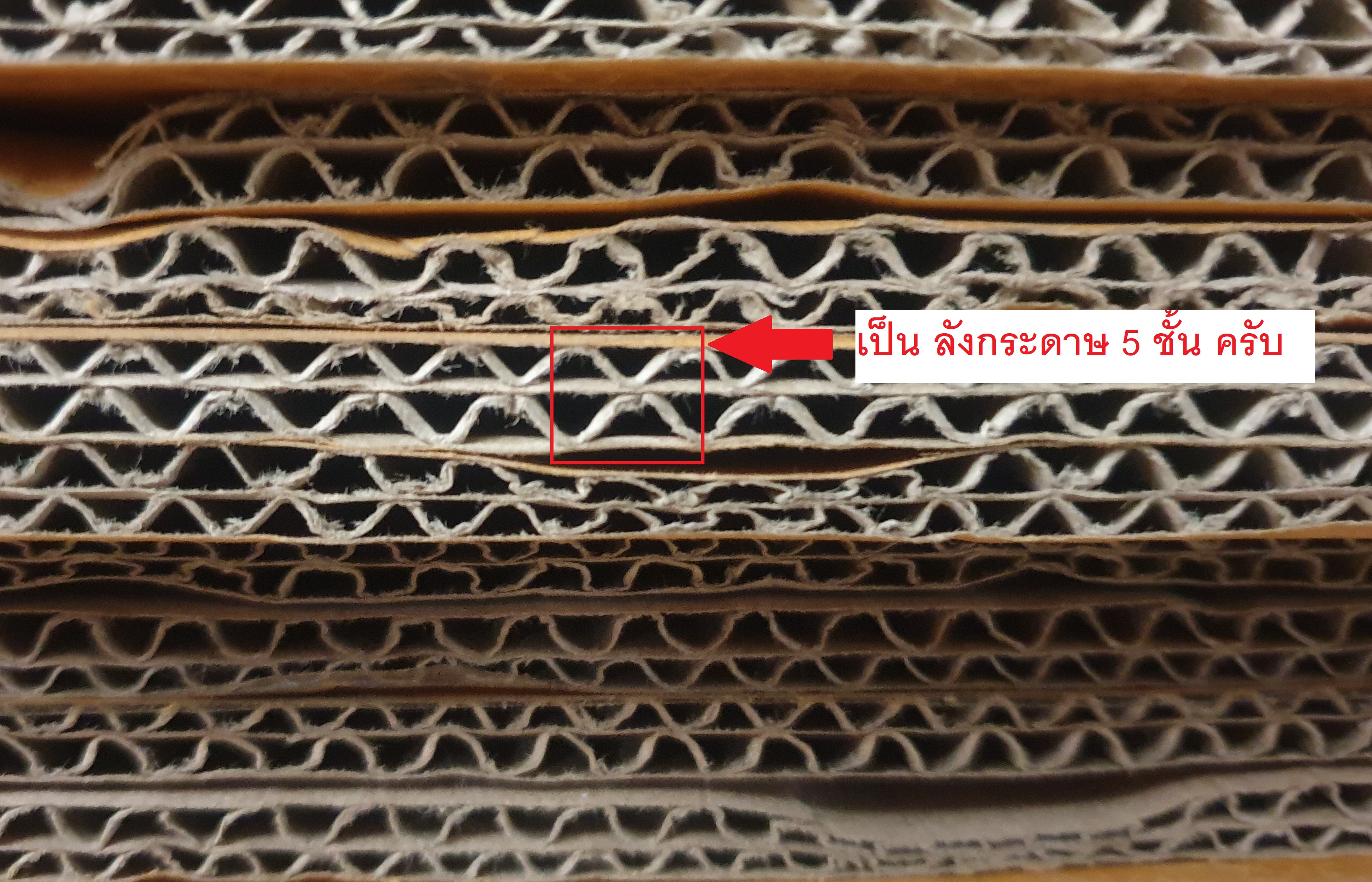 ลัง มือสอง 5 ชั้น 10 บาท/ลัง ขนาด 9×15×11 (กวาง×ยาว×สูง)