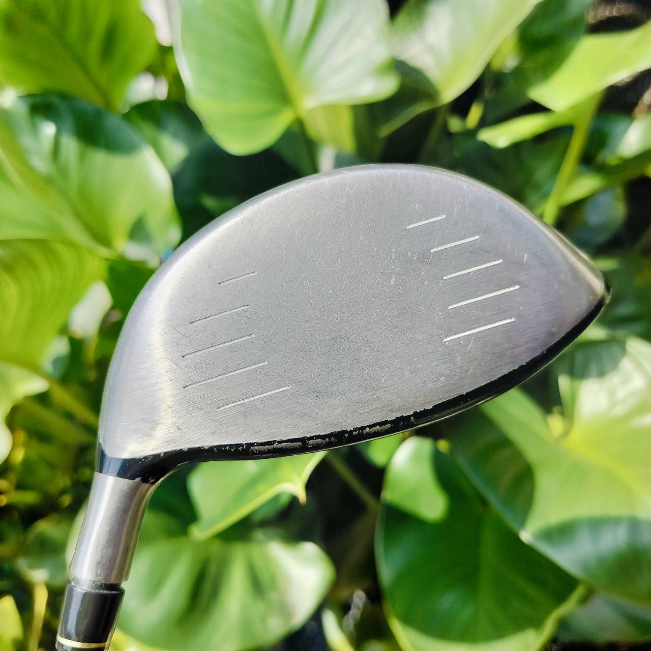 Driver Taylormade BURNER PLUS ตัว PLUS หน้าเด้ง ตีไกลมากๆ และตัวนี้ตีง่ายมากด้วยการยื่น กระดองออกไปด้านหลัง และ เป็นกระดองเบา ทำให้จุด CG ลงมาอยู่ต่ำและลึกอย่างมาก ไม้กอล์ฟพรีเมี่ยมมือสอง ของแท้ NakaraLuxurious