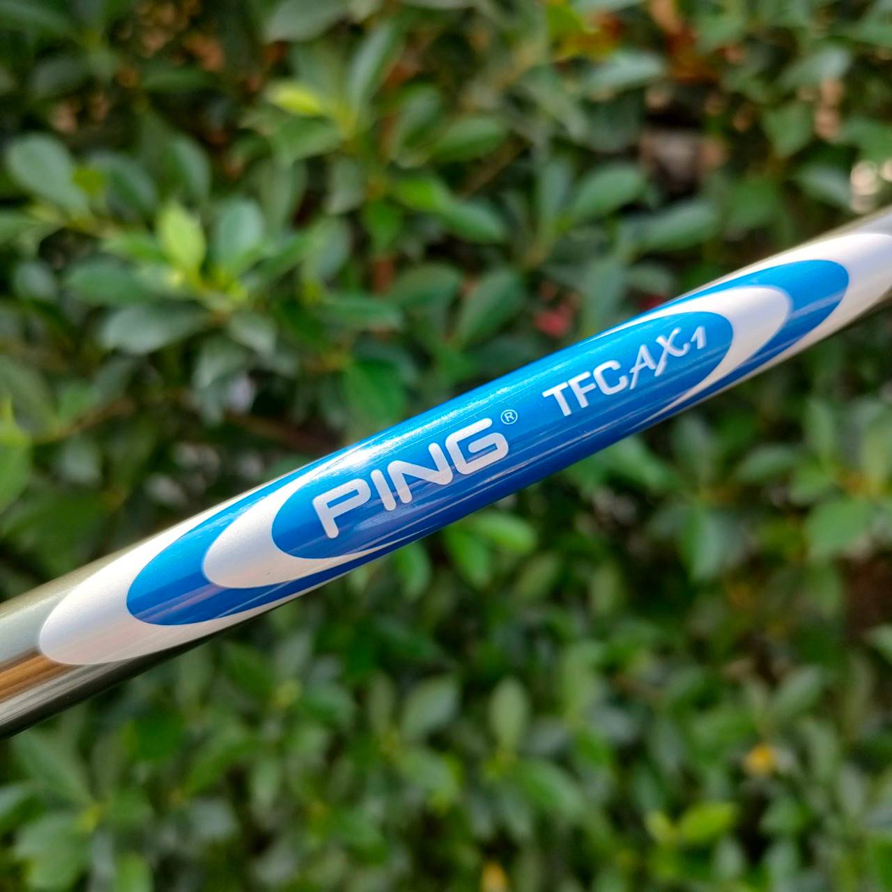 DRIVER PING G2 460CC องศา 10 ก้าน FUJIKURA TFCAX1 FLEX SR ตีง่าย + ตีไกลสุดๆๆๆ ครับ