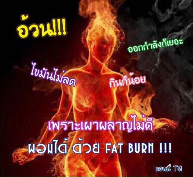 Fat Burn สลายไขมัน ลดพุง (4 ซอง : 60 เม็ด)