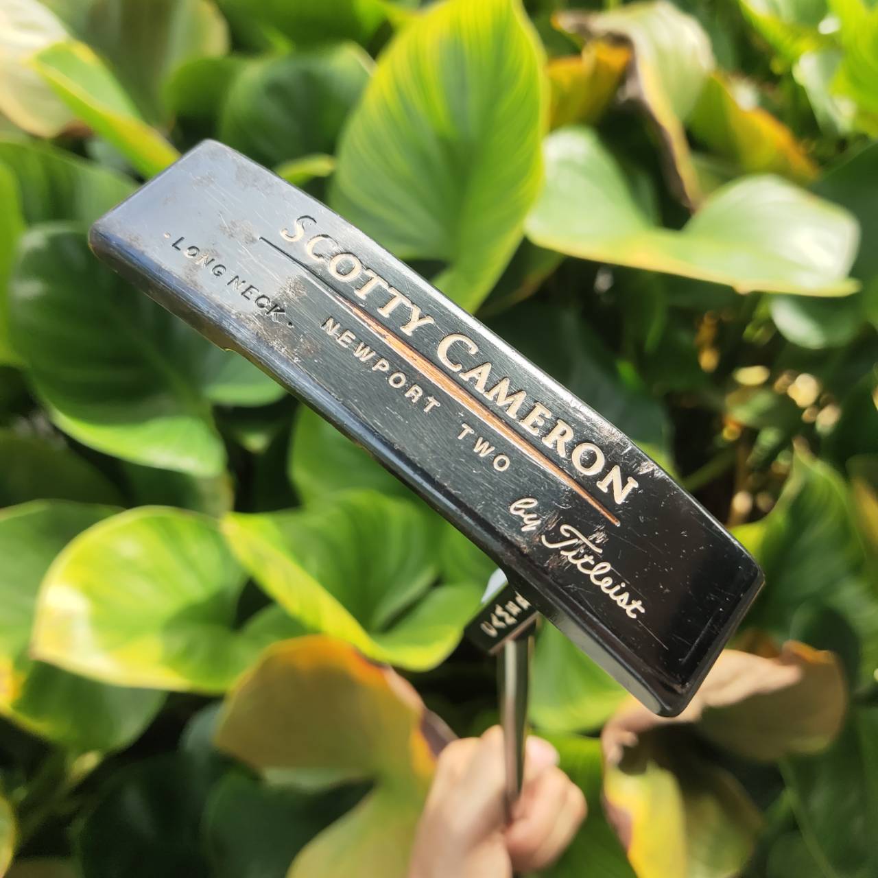 สุดยอดของ CAMERON Teryllium/Tel³ (อัลลอย์ 12 โลหะ) PUTTER Scotty Cameron Newport® 2 Long Neck